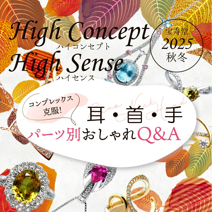 ハイコンセプト ハイセンス｜’25秋冬号 特集ページOPEN