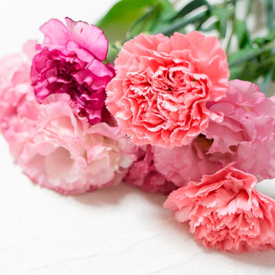 Thank you very much! Mother's Day Gift 2024 Special Feature Page OPEN