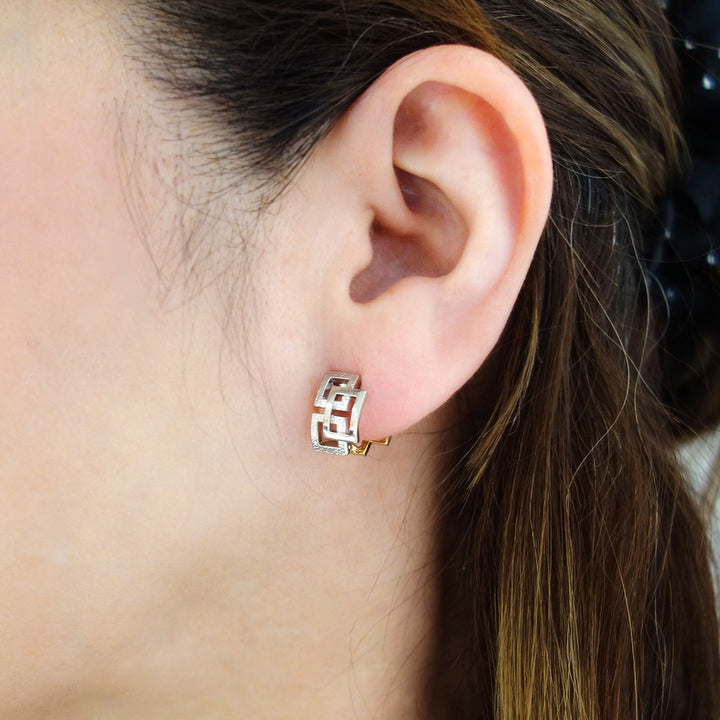 <tc>Platinum x Yellow Gold Earrings ｜ EX04401</tc>