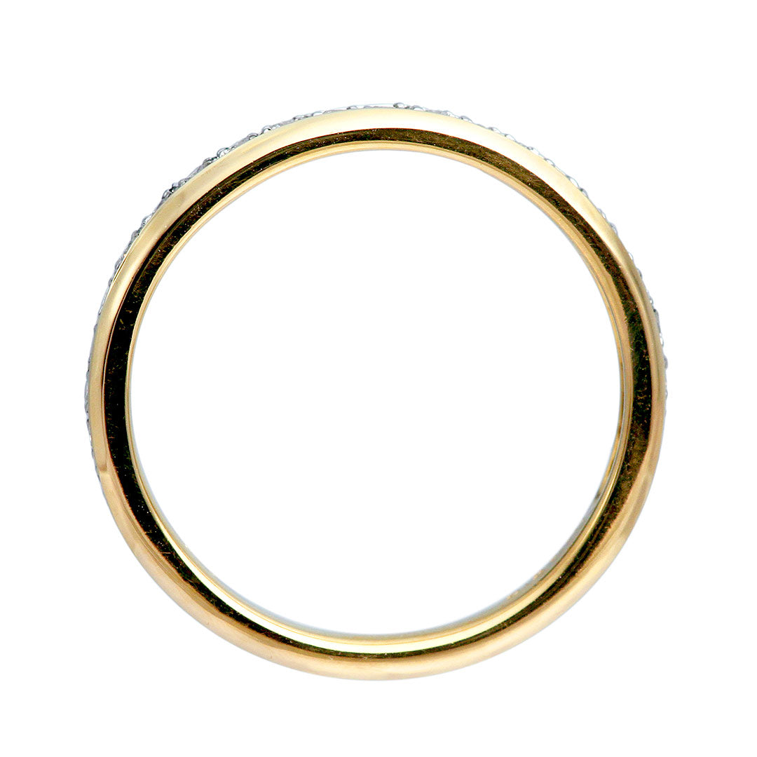 Half eternity ring ｜ HDX2300