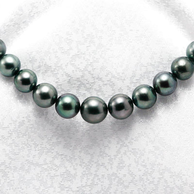 <tc>Tahitian black pearl necklace | 8.1-11.5mm | NJ04210</tc>