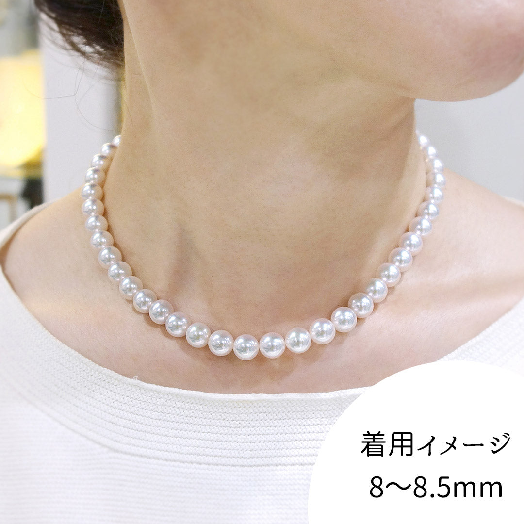 <tc>Akoya Pearl Necklace ｜ 8.0～8.5mm ｜ NJ04157</tc>