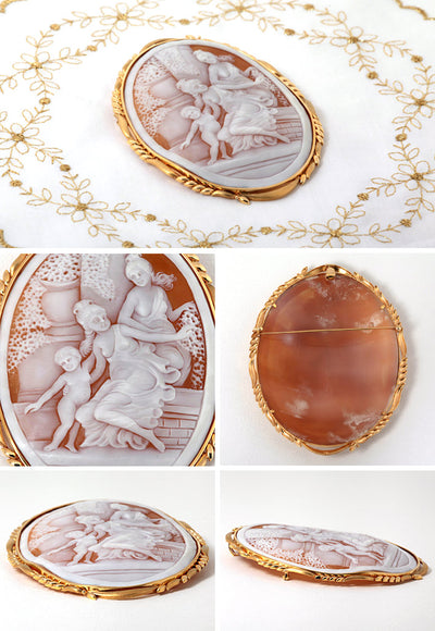 Shell cameo brooch (also for pendant top) | BX00104