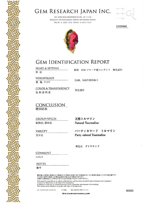 Tourmaline brooch (also for pendant top) | BX00708