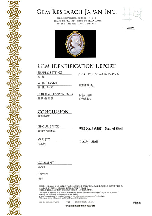 Shell Cameo Brooch (Pendant Top) | BX01000