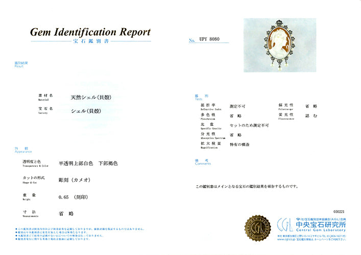 Shell Cameo Brooch (Pendant Top) | BX01499