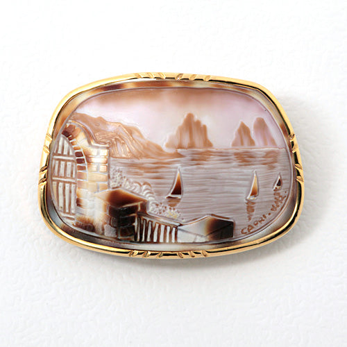 Tigerskin cameo brooch (also used as a pendant top) ｜ BX01509