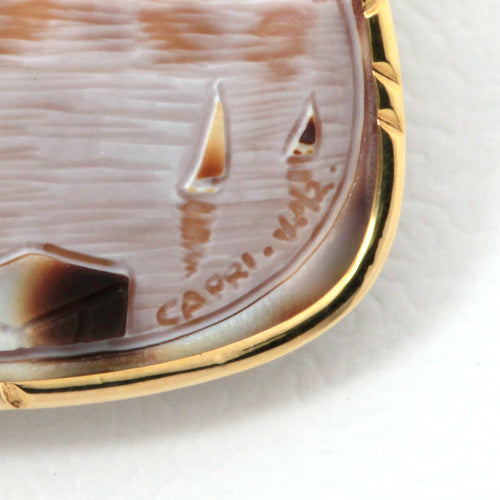 Tiger Skin Cameo Brooch (Pendant Top) | BX01509