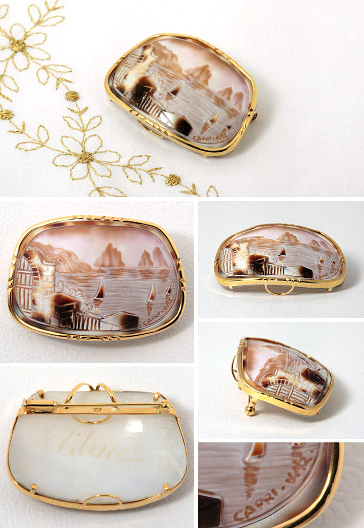 Tigerskin cameo brooch (also used as a pendant top) ｜ BX01509