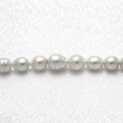 南洋白蝶真珠 ネックレス ｜ 9.1～12.3mm ｜ NJ02663