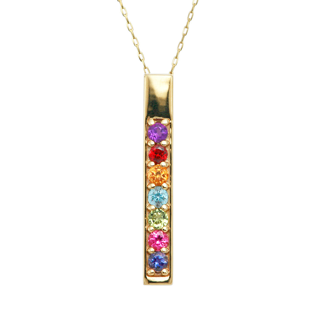 Multicolor Necklace | PX05331