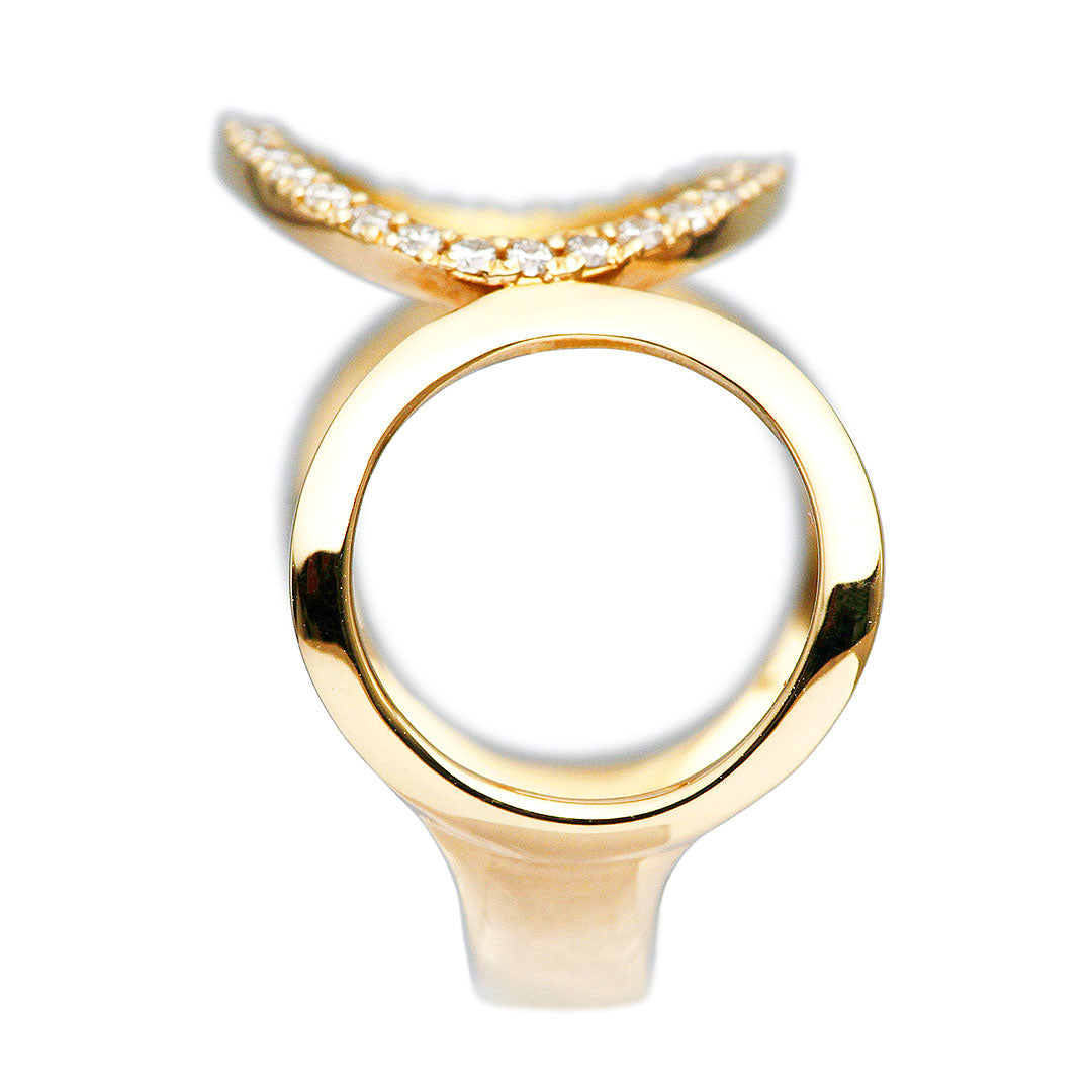 Diamond ring (ring) ｜RD02942